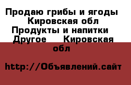 Продаю грибы и ягоды - Кировская обл. Продукты и напитки » Другое   . Кировская обл.